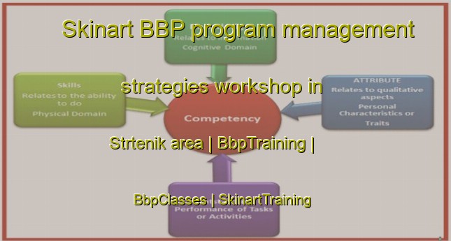 Skinart BBP program management strategies workshop in Strtenik area | BbpTraining | BbpClasses | SkinartTraining-Slovenia